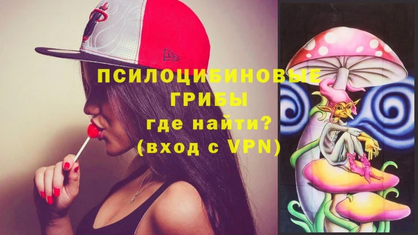 молекула духа Алексин