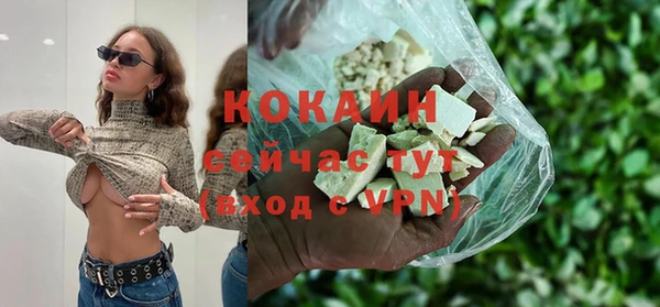 молекула духа Алексин