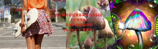молекула духа Алексин