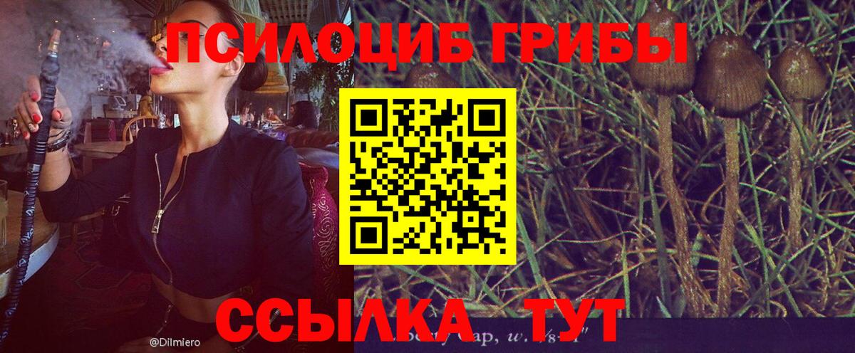 Обнинск  Галлюциногенные грибы Psilocybe  продажа наркотиков  Вход с VPN 