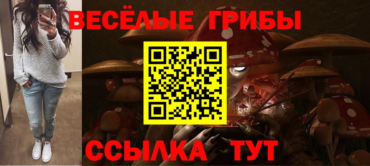 Псилоцибиновые грибы ЛСД Обнинск
